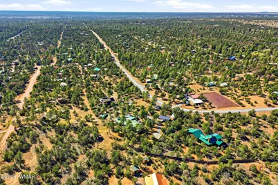 3121 Cedar Drive, Overgaard, AZ 85933 - Photo 44
