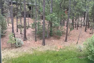 3880 S Mule Skinner Loop, Show Low, AZ 85901 - Photo 16