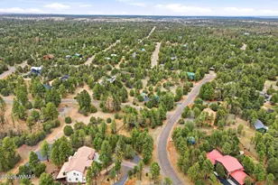 2934 Ransack Rd, Overgaard, AZ 85933 - Photo 38