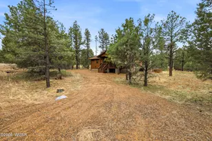 2934 Ransack Rd, Overgaard, AZ 85933 - Photo 4