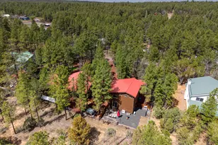 3623 Bear Trail, Lakeside, AZ 85929 - Photo 70