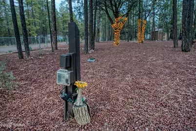 3623 Bear Trail, Lakeside, AZ 85929 - Photo 66