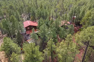 3623 Bear Trail, Lakeside, AZ 85929 - Photo 72