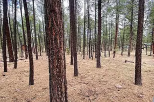 11 County Rd 2135, Alpine, AZ 85920 - Photo 1