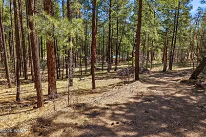 11 County Road 2135, Alpine, AZ 85920 - Photo 4