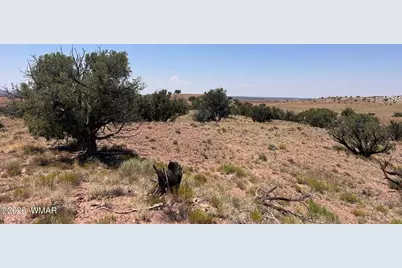 104 N9328, Concho, AZ 85924 - Photo 6