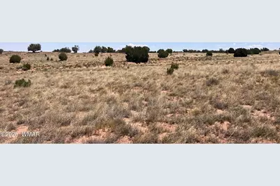 104 N9328, Concho, AZ 85924 - Photo 8