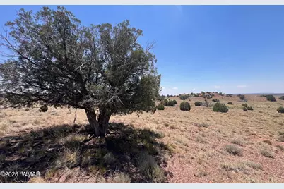104 N9328, Concho, AZ 85924 - Photo 20
