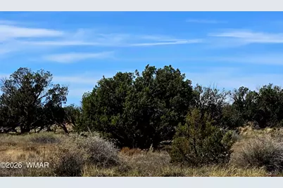 5438 County Line Road, Snowflake, AZ 85937 - Photo 2