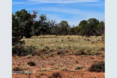5438 County Line Road, Snowflake, AZ 85937 - Photo 8