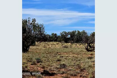 5438 County Line Road, Snowflake, AZ 85937 - Photo 4