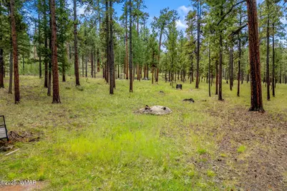 16 N1062, Greer, AZ 85927 - Photo 1