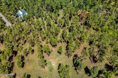 16 N1062, Greer, AZ 85927 - Photo 14