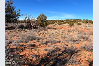 4125 Sorrel Road, Snowflake, AZ 85937 - Photo 8