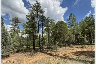 2341 W Pinegrass Road, Show Low, AZ 85901 - Photo 6