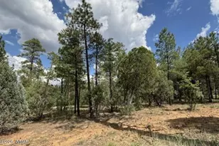 2341 W Pinegrass Rd, Show Low, AZ 85901 - Photo 6