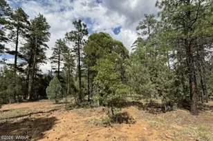 2341 W Pinegrass Rd, Show Low, AZ 85901 - Photo 10