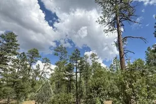 2341 W Pinegrass Rd, Show Low, AZ 85901 - Photo 6