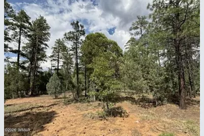 2341 W Pinegrass Road, Show Low, AZ 85901 - Photo 6