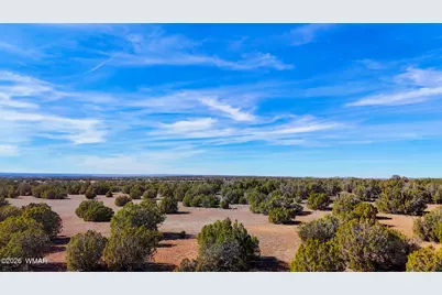 9023 Appaloosa Trl (Lot A) 5 Acres, Show Low, AZ 85901 - Photo 10
