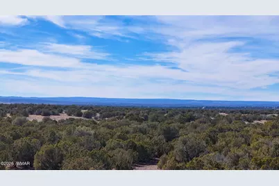 9023 Appaloosa Trl (Lot A) 5 Acres, Show Low, AZ 85901 - Photo 8