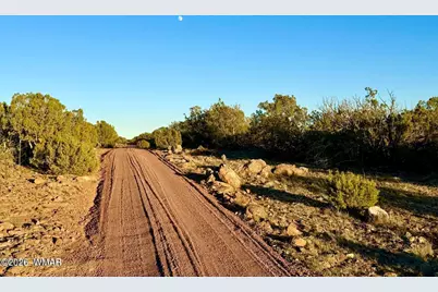 9023 Appaloosa Trl (Lot A) 5 Acres, Show Low, AZ 85901 - Photo 20