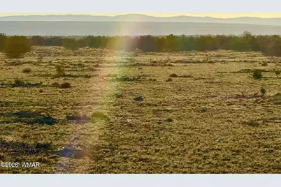 9023 Appaloosa Trl (Lot A) 5 Acres, Show Low, AZ 85901 - Photo 12