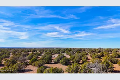 9023 Appaloosa Trl (Lot A) 5 Acres, Show Low, AZ 85901 - Photo 14