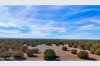 9023 Appaloosa Trl (Lot B) 5 Acres, Show Low, AZ 85901 - Photo 8