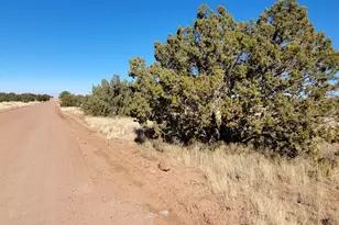 2477 Jay Rd, Show Low, AZ 85901 - Photo 1