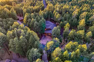 2896 N Aspen Rd, Pinetop, AZ 85935 - Photo 80