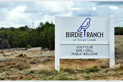 8406 Lake View Drive, Show Low, AZ 85901 - Photo 36
