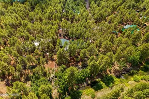 328 W Billy Creek Dr, Lakeside, AZ 85929 - Photo 44