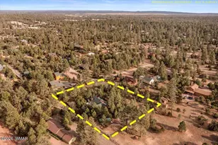 2952 Country View Ln, Overgaard, AZ 85933 - Photo 70