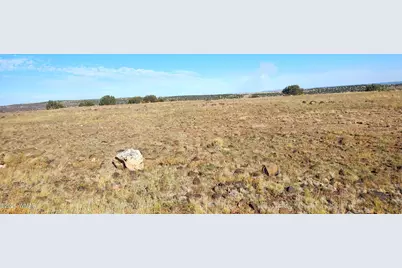 Tbd Cr 5134, Concho Valley, AZ 85924 - Photo 6