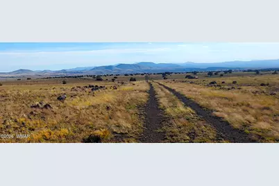 Tbd Cr 5134, Concho Valley, AZ 85924 - Photo 1