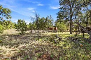 3650 Buckskin Rd, Overgaard, AZ 85933 - Photo 24