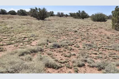 29B N9005, Concho, AZ 85924 - Photo 8