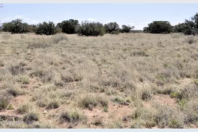 29A Cr N9080, Concho, AZ 85924 - Photo 18