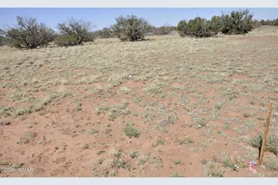 29A Cr N9080, Concho, AZ 85924 - Photo 2
