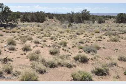 29A Cr N9080, Concho, AZ 85924 - Photo 8