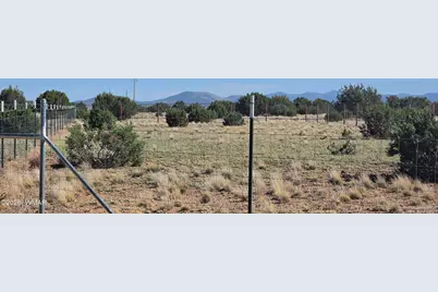 35 County Road 8623 Road, Concho, AZ 85924 - Photo 1