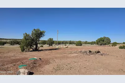 35 County Road 8623 Road, Concho, AZ 85924 - Photo 14