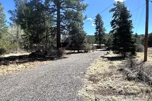 16 County Rd N4035, Greer, AZ 85927 - Photo 46