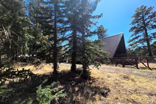 16 County Rd N4035, Greer, AZ 85927 - Photo 1