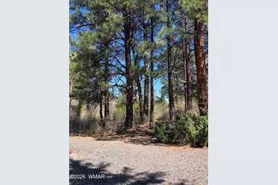 16 County Road N4035, Greer, AZ 85927 - Photo 42