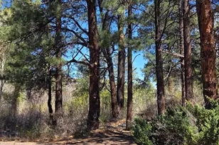 16 County Road N4035, Greer, AZ 85927 - Photo 42