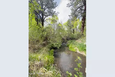 16 County Road N4035, Greer, AZ 85927 - Photo 38
