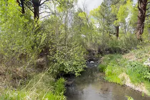 16 County Road N4035, Greer, AZ 85927 - Photo 38
