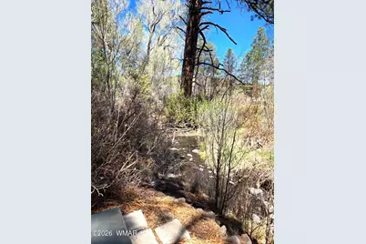 16 County Road N4035, Greer, AZ 85927 - Photo 36